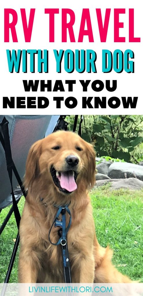 RV travel with your dog