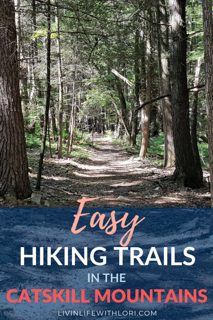 Easy hiking trails in the Catskills