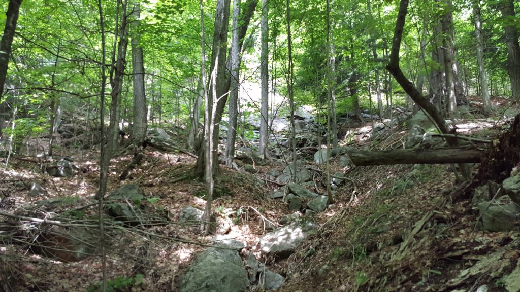 Nature Trail at High Falls Gorge