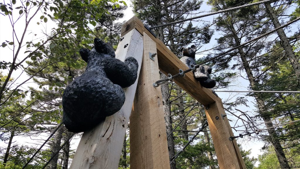 Bear carvings at Lost River Gorge