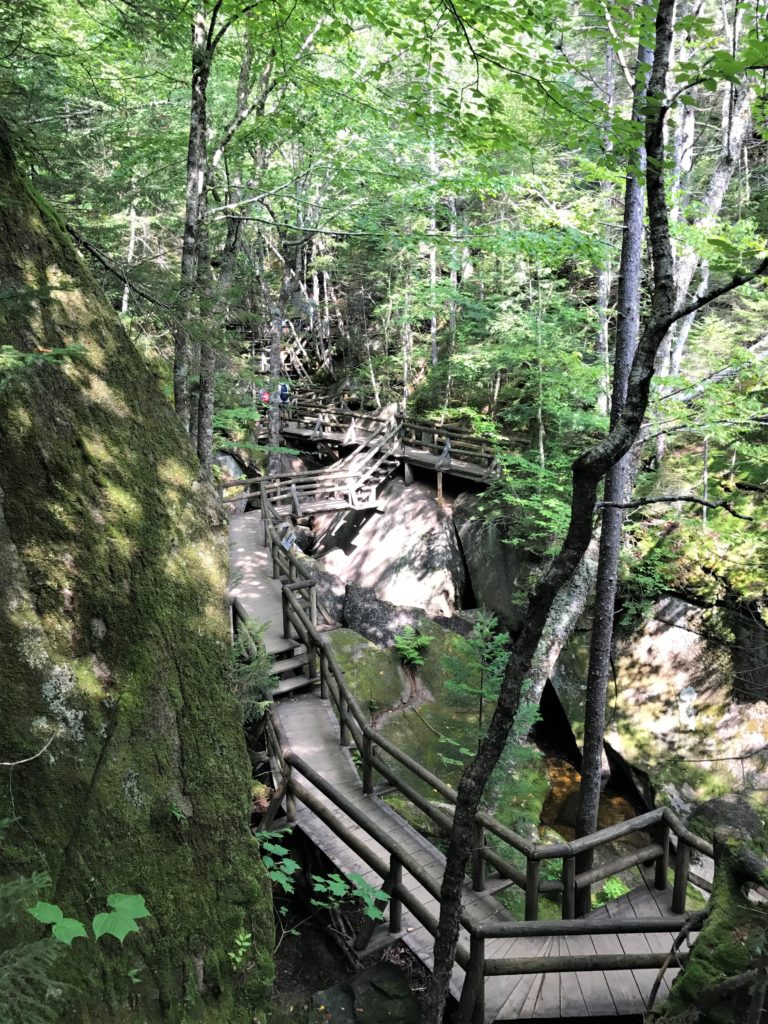 Path at Lost River Gorge