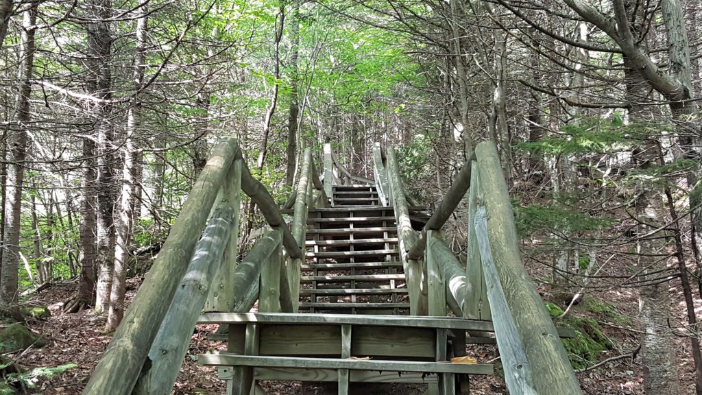 Stairway at Lost River Gorge