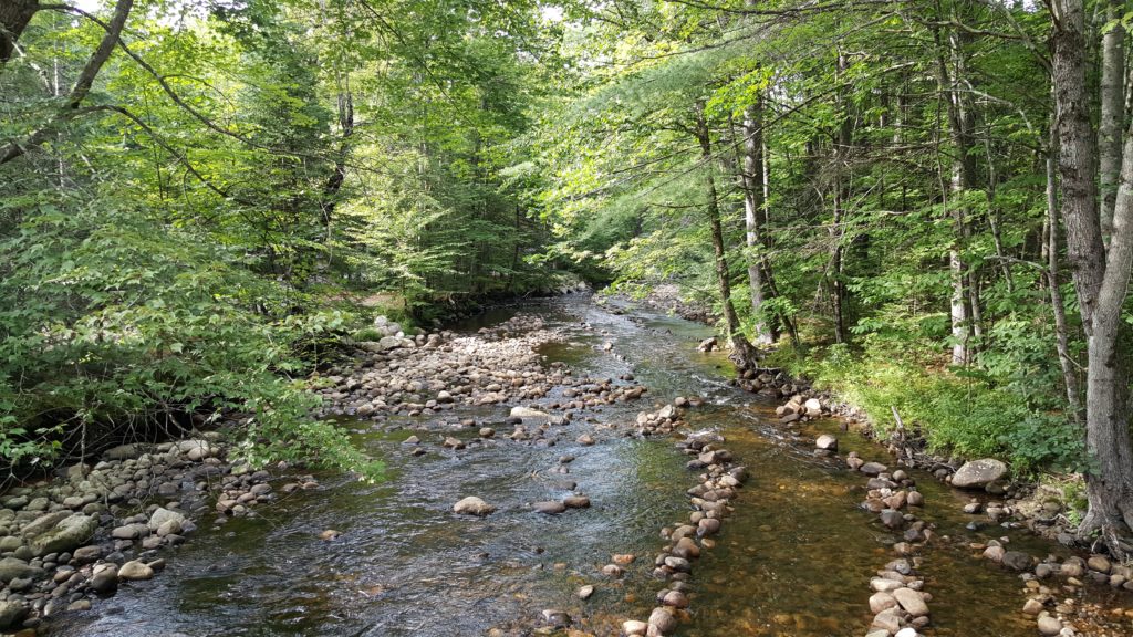 Brook at Fransted Family Campground