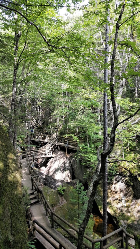 Boardwalk At Lost River Gorge