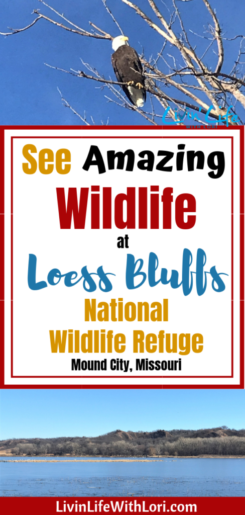 Loess Bluffs National Wildlife Refuge