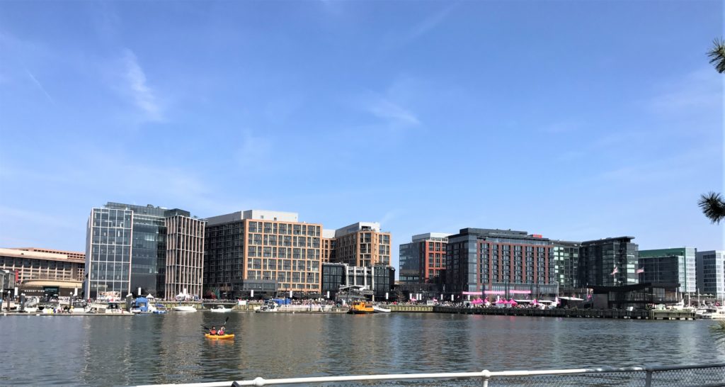 View of the National Cherry Blossom Festival at the Wharf
