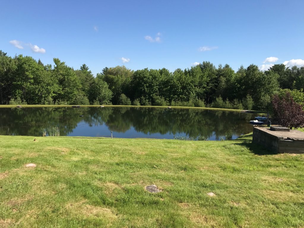 pond at Skyway Camping Resort