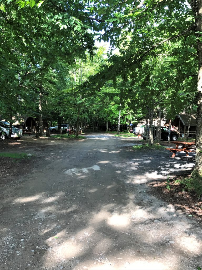 Cabins at Old Forge Camping Resort