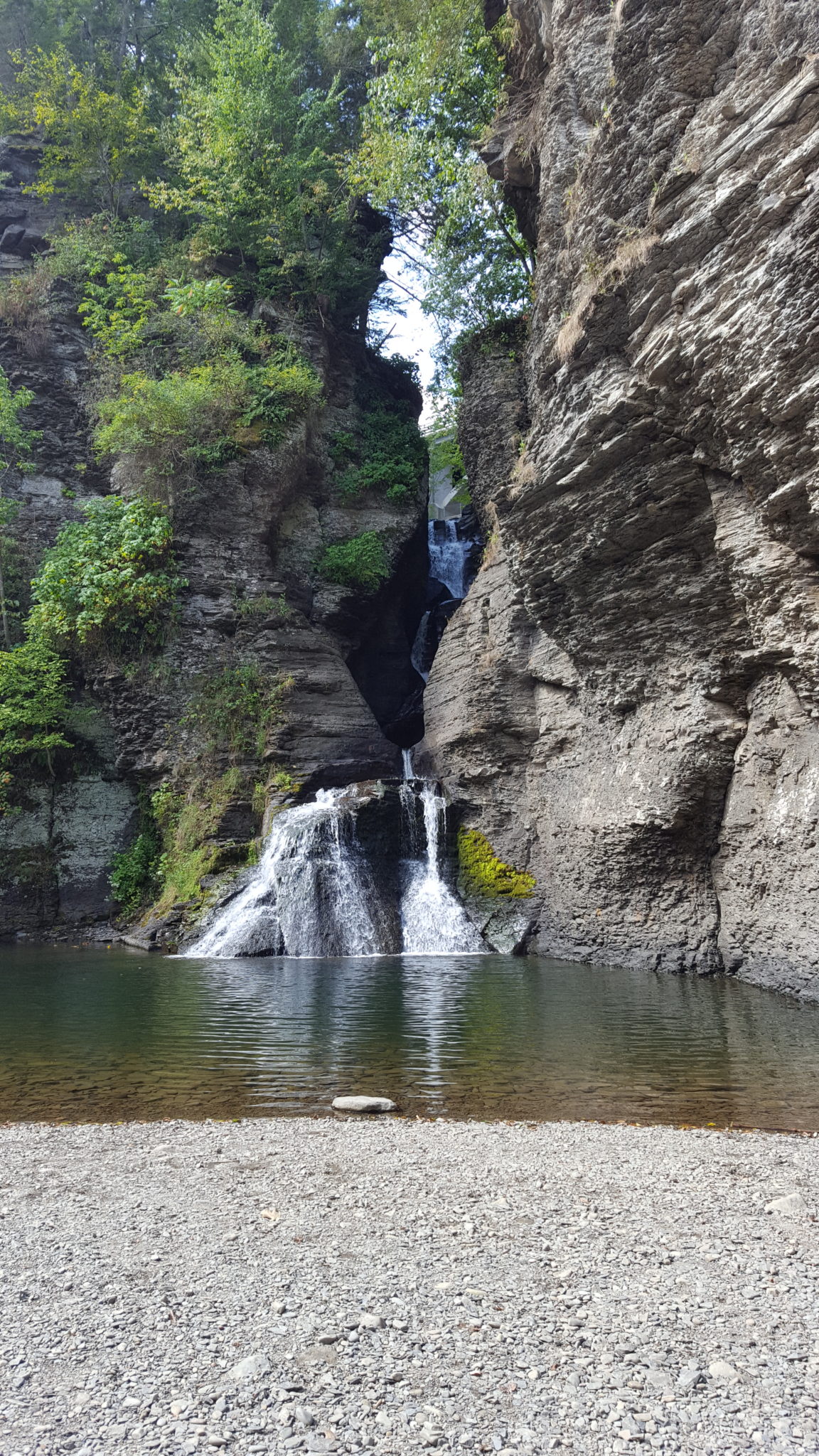 The Best Things To See At Mine Kill State Park North Blenheim NY | Livin'  Life With Lori