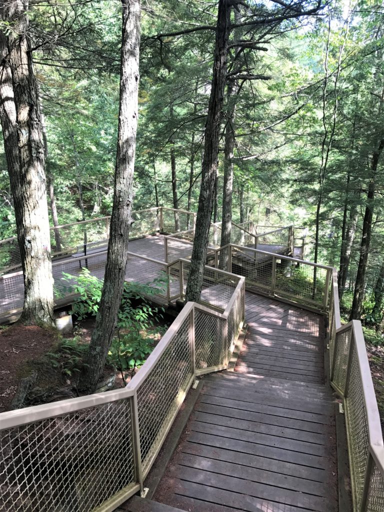 Stairway leading to Overlook at Minekill State Park