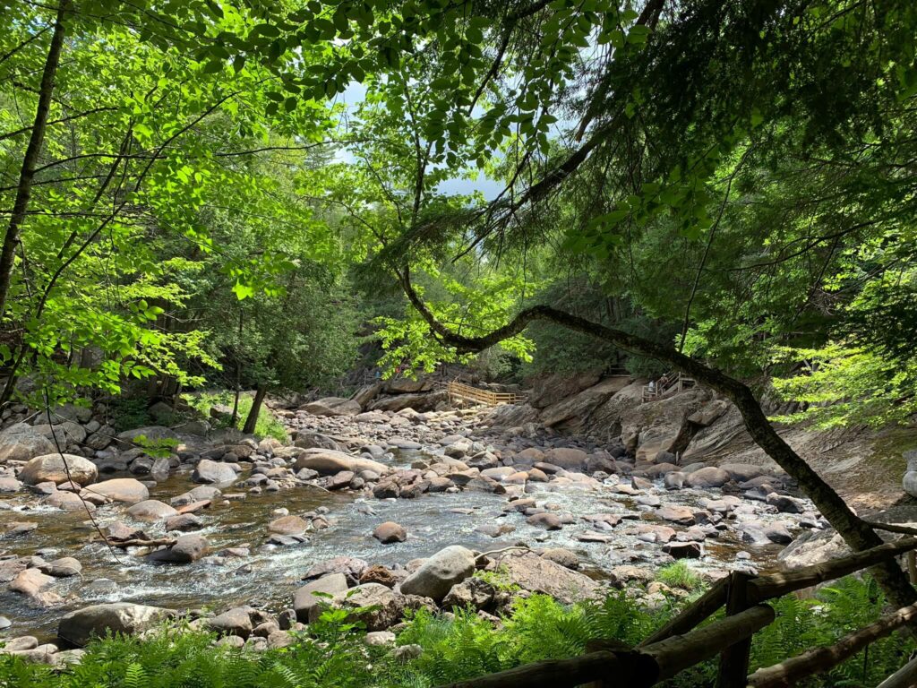 Serene and Peaceful view at Natural Stone Bridge