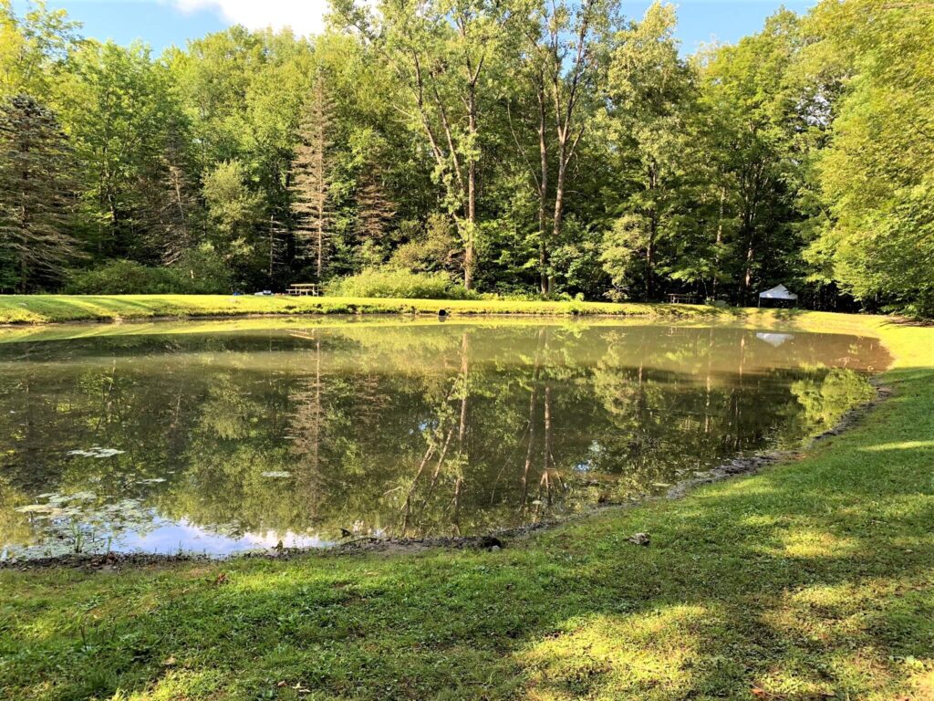 Pond at Mt Greylock Campsite Park