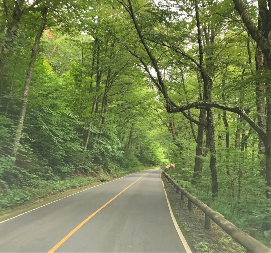 Scenic Byway Mount Greylock