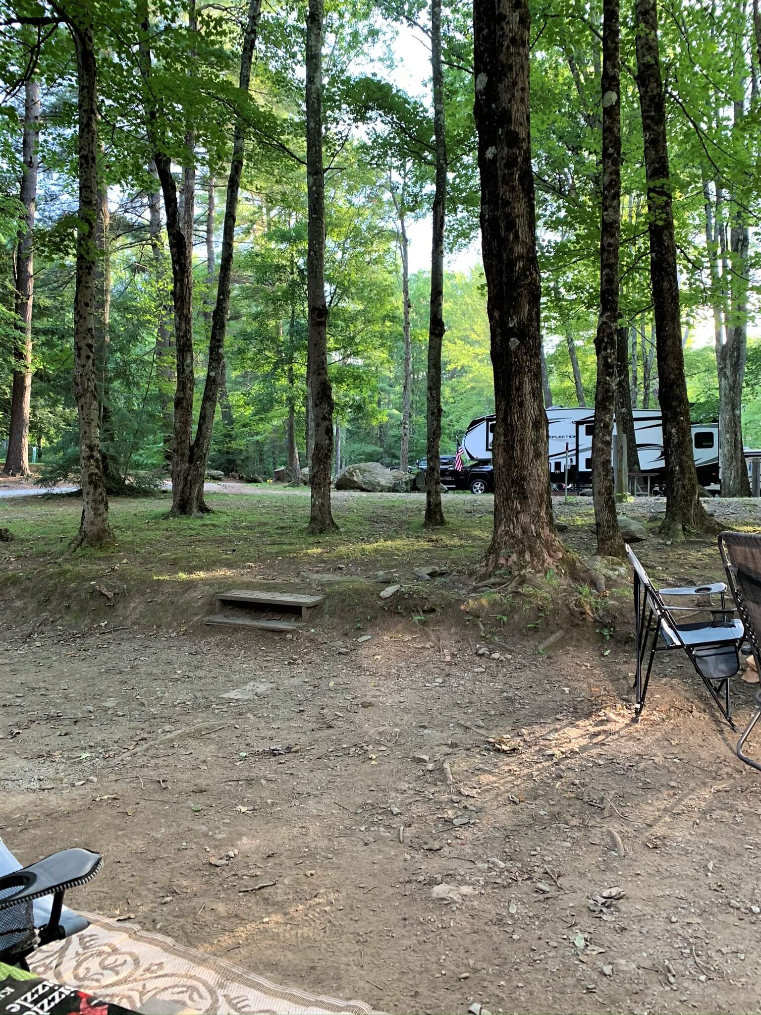 wooded campsites at Mt Greylock Campsite Park