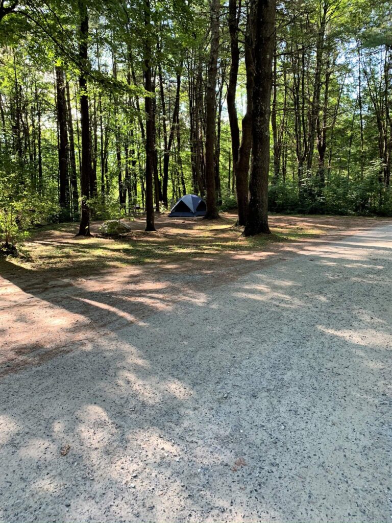 tent sites at Mt Greylock Campsite Park