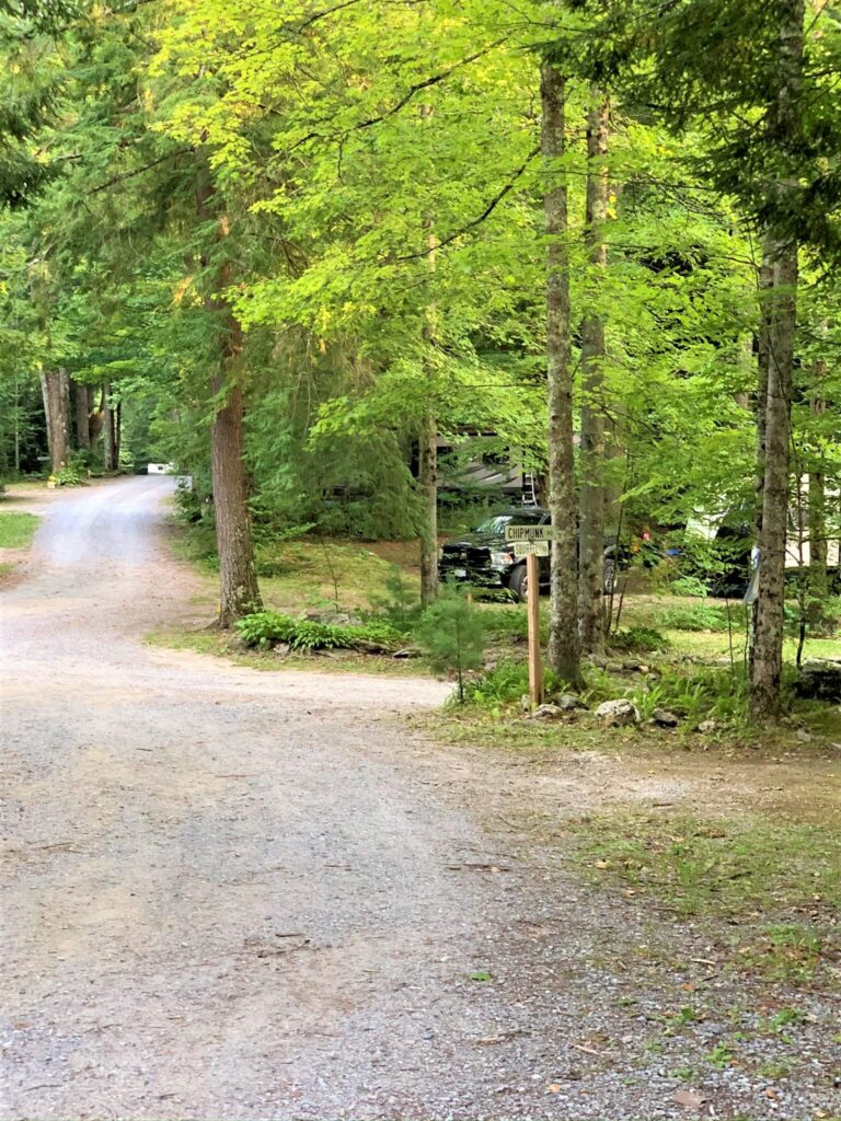 wooded campsites at Mt Greylock Campsite Park