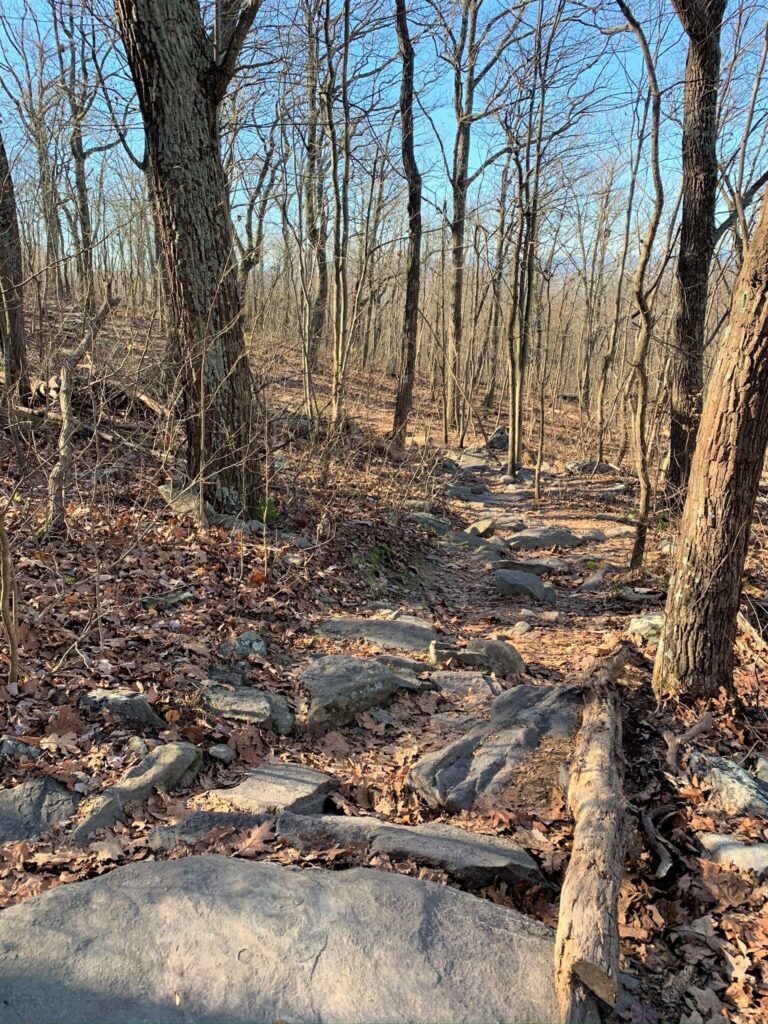 Blue Blaze Loop at Bears Den VA