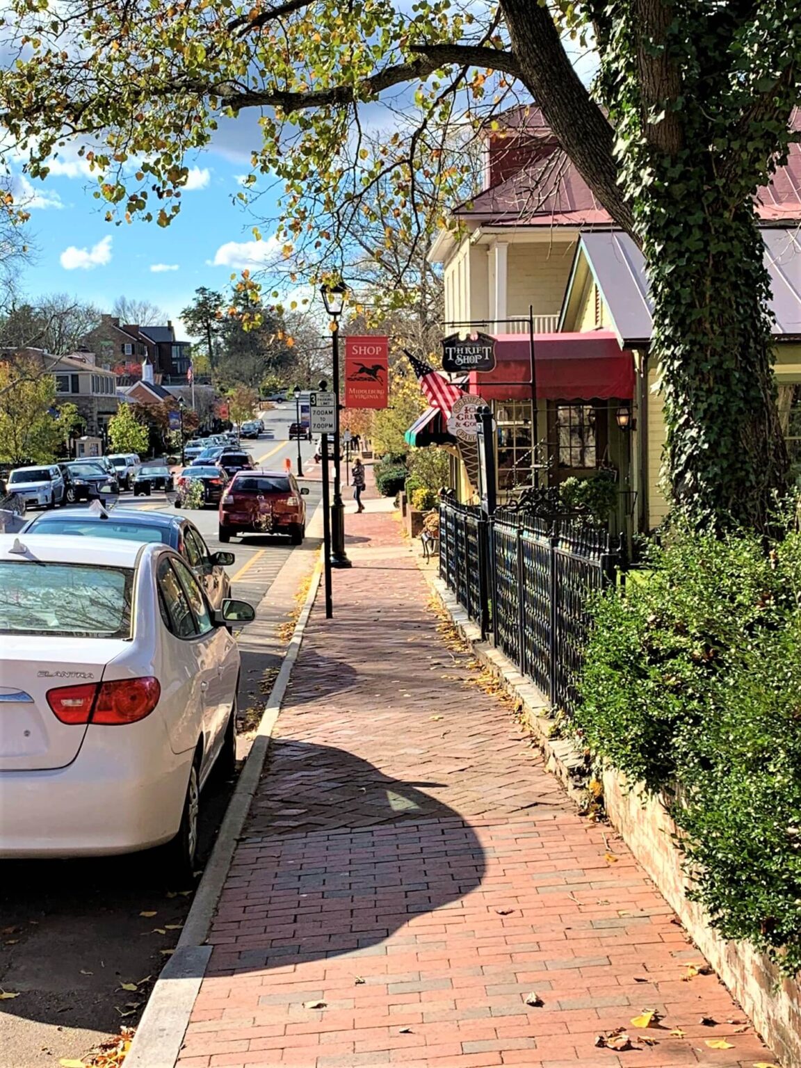 Top 11 Fun Things To Do In Northern Virginia Livin' Life With Lori