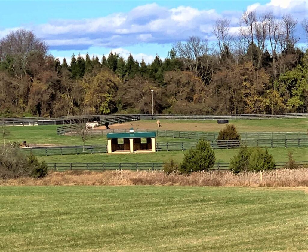 Equestrian Center Salamander Resort & Spa