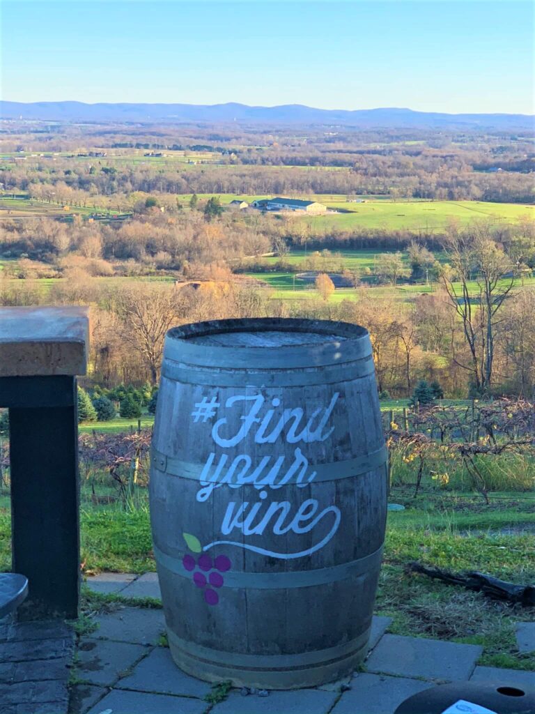 Wine Barrel at Bluemont Vineyard