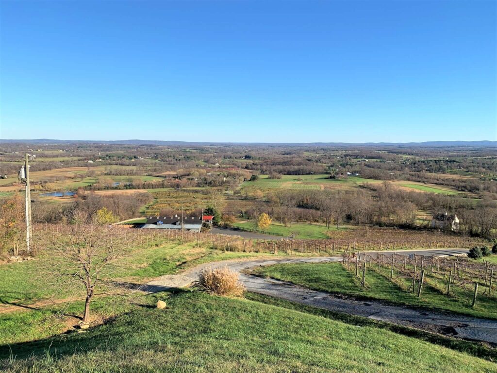 View from Bluemont Vineyard