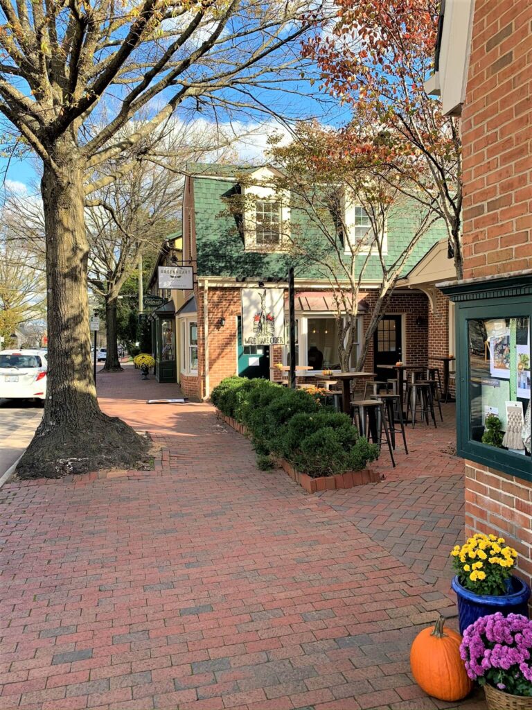 Downtown Middleburg Virginia