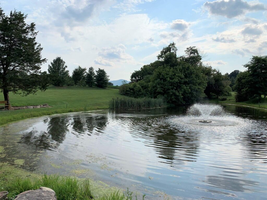 Catch and Release fishing pond in Luray VA