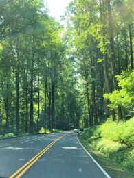 11 Best Things To Do In The Great Smoky Mountains | Livin' Life With Lori