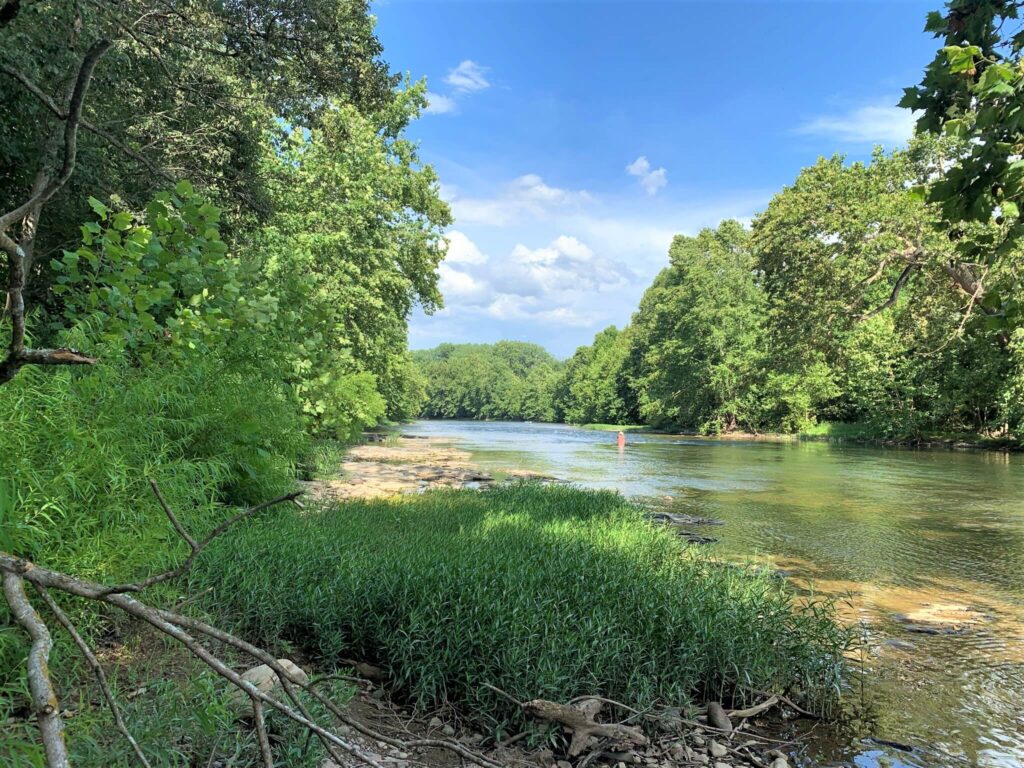 fishing in the Shenandoah River