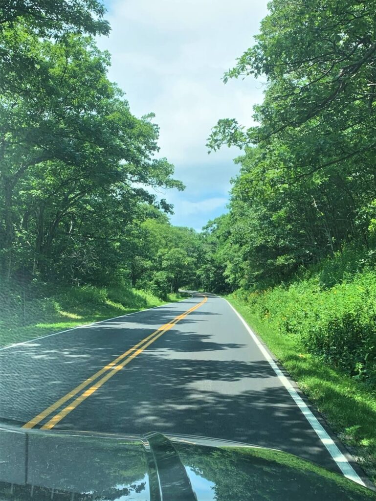 driving along Skyline Drive in Shenandoah National Park