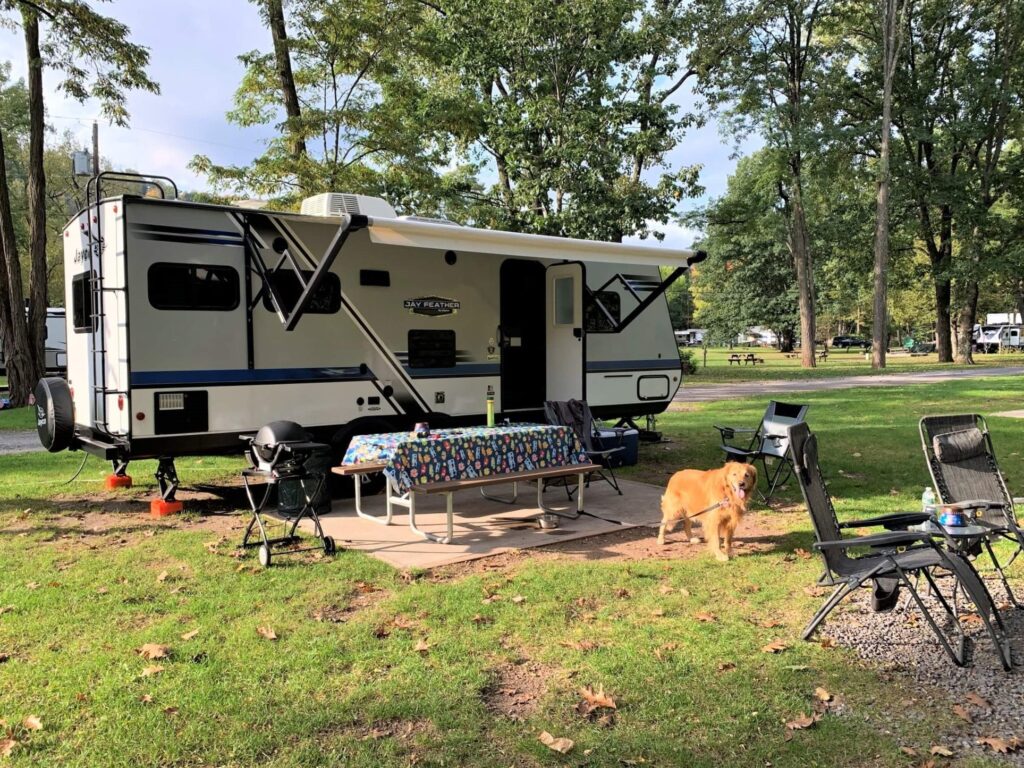 Jayco trailer with golden retriever camping