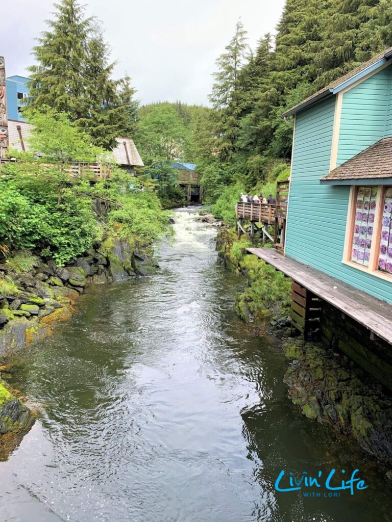 Salmon Swim Up Ketchikan Creek