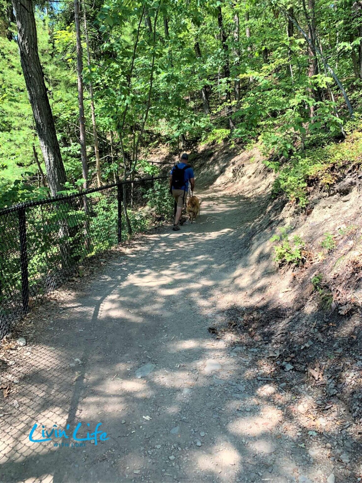 How To See Breathtaking Views When Hiking Watkins Glen State Park