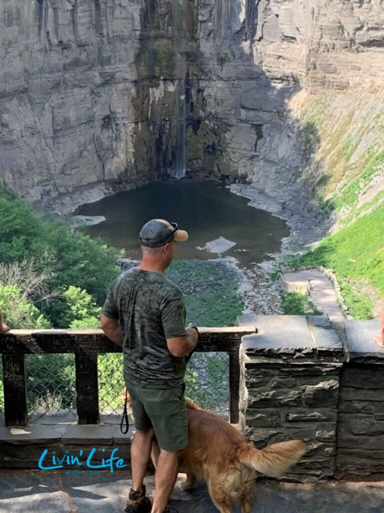 Golden Retriever at Taughannock Falls Overlook