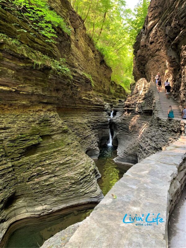 How To See Breathtaking Views When Hiking Watkins Glen State Park ...