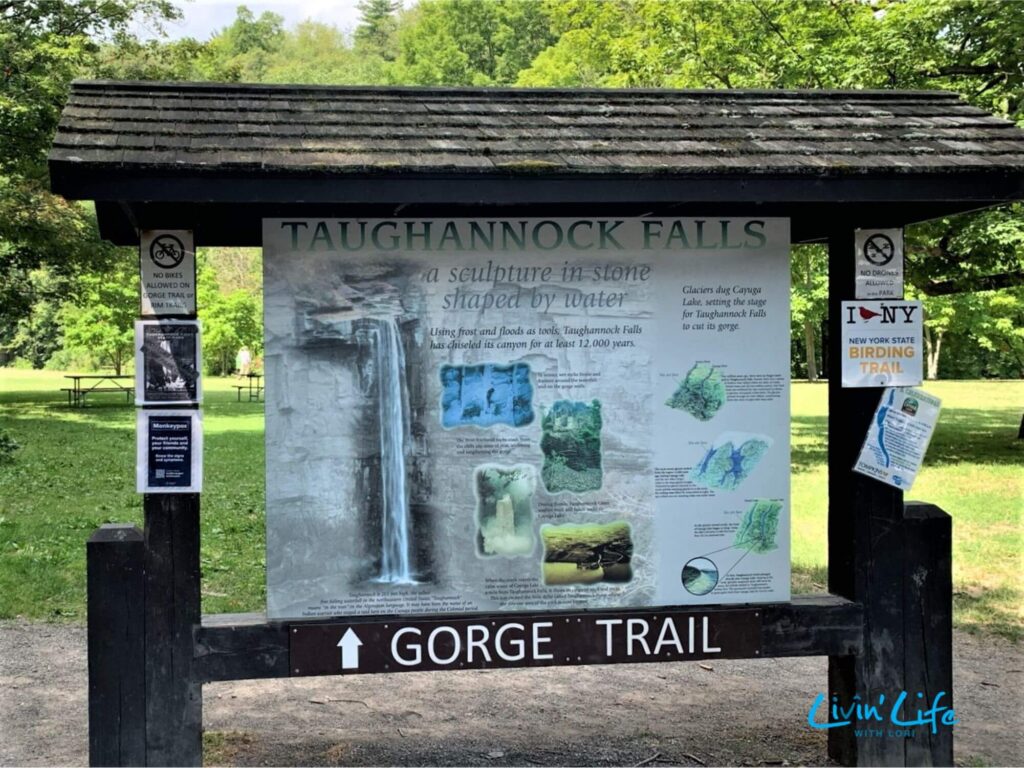 Entrance To Taughannock Falls Gorge Trail