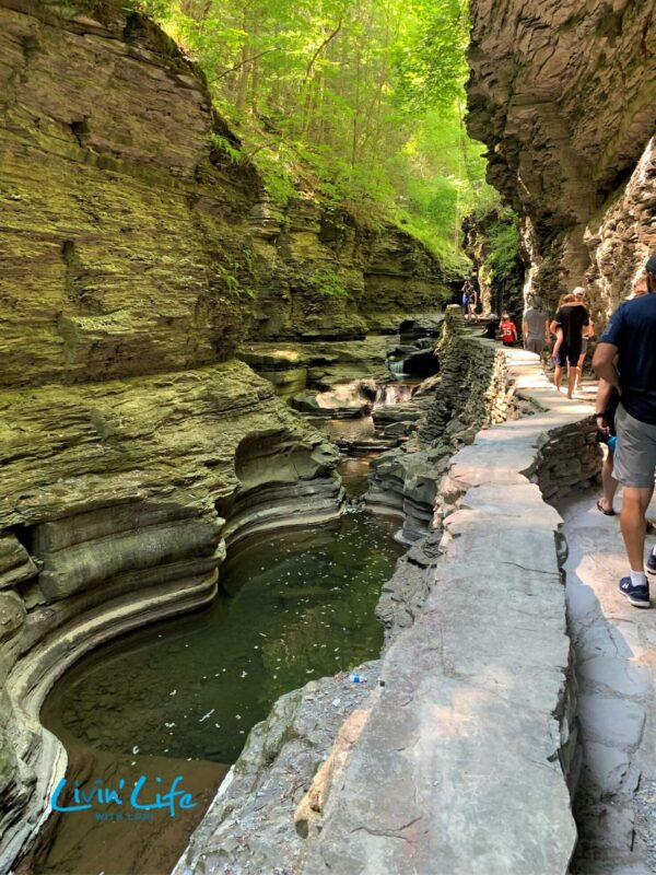 How To See Breathtaking Views When Hiking Watkins Glen State Park 