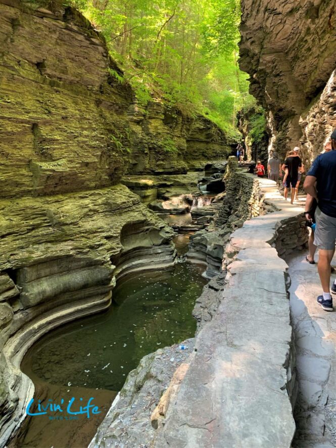 How To See Breathtaking Views When Hiking Watkins Glen State Park ...