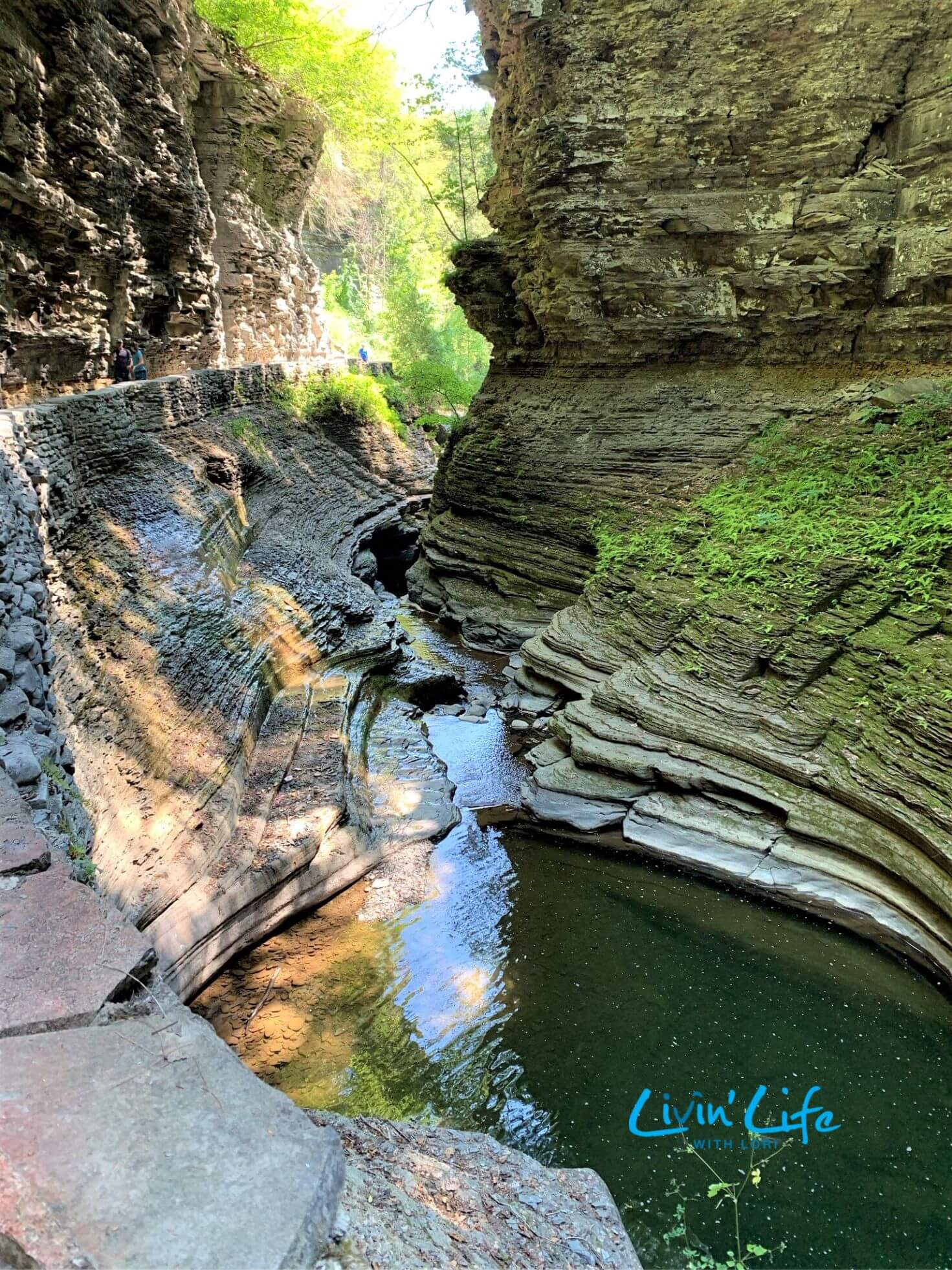 Gorge Trail Watkins Glen SP