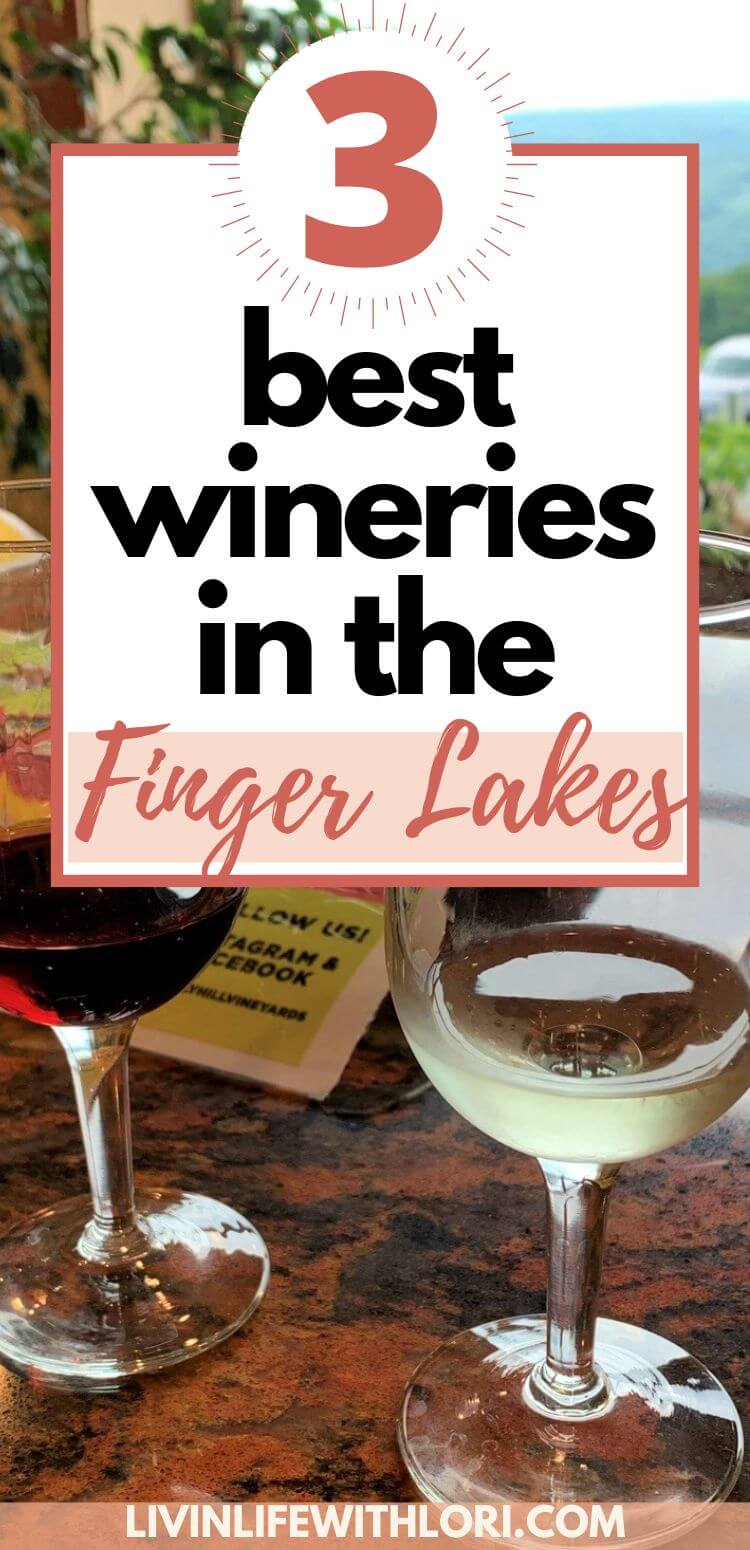 3 Fun Finger Lakes Wineries You Need To Visit And Are Dog Friendly