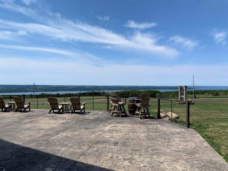 3 Fun Finger Lakes Wineries You Need To Visit And Are Dog Friendly