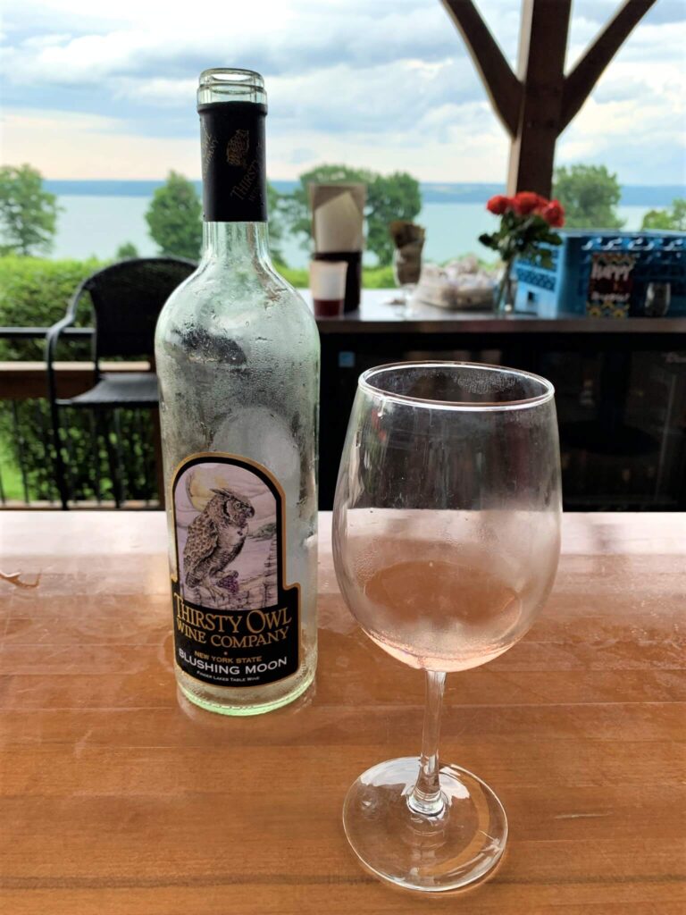 wine tasting at Thirsty Owl On Cayuga Lake