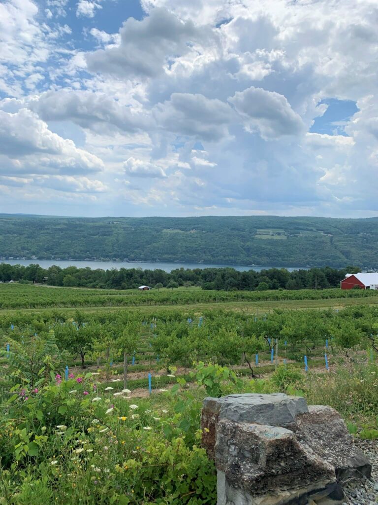 Keuka Lake view from Bully Hill Winery