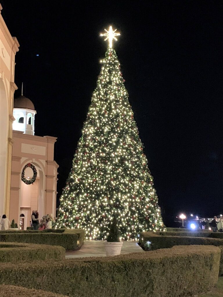 Lighted Christmas Tree Outside Sight And Sound Theater Branson