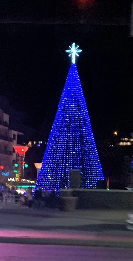 Lighted Christmas Tree At Branson Landing