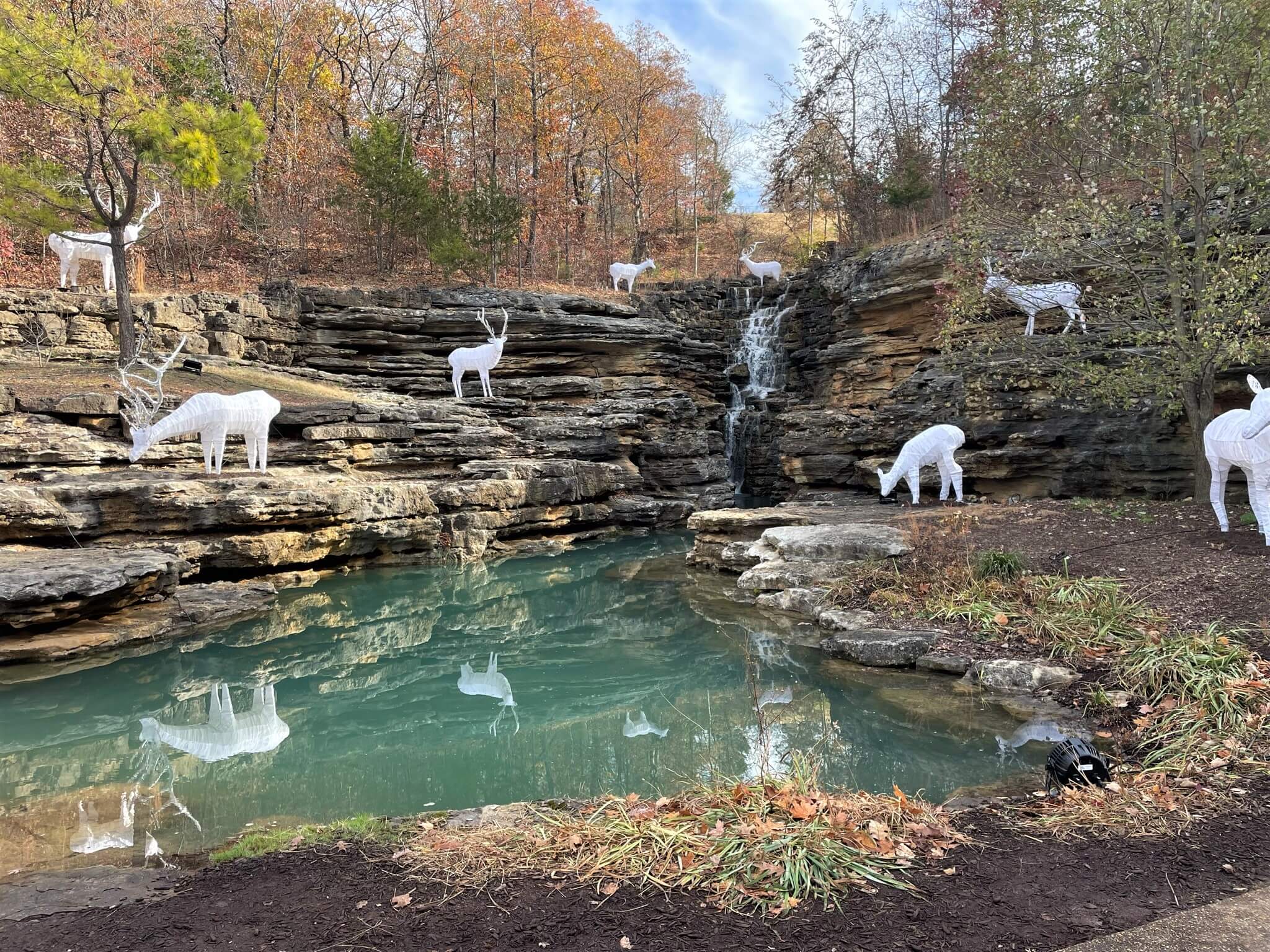 Reindeer at Top of the Rock Branson