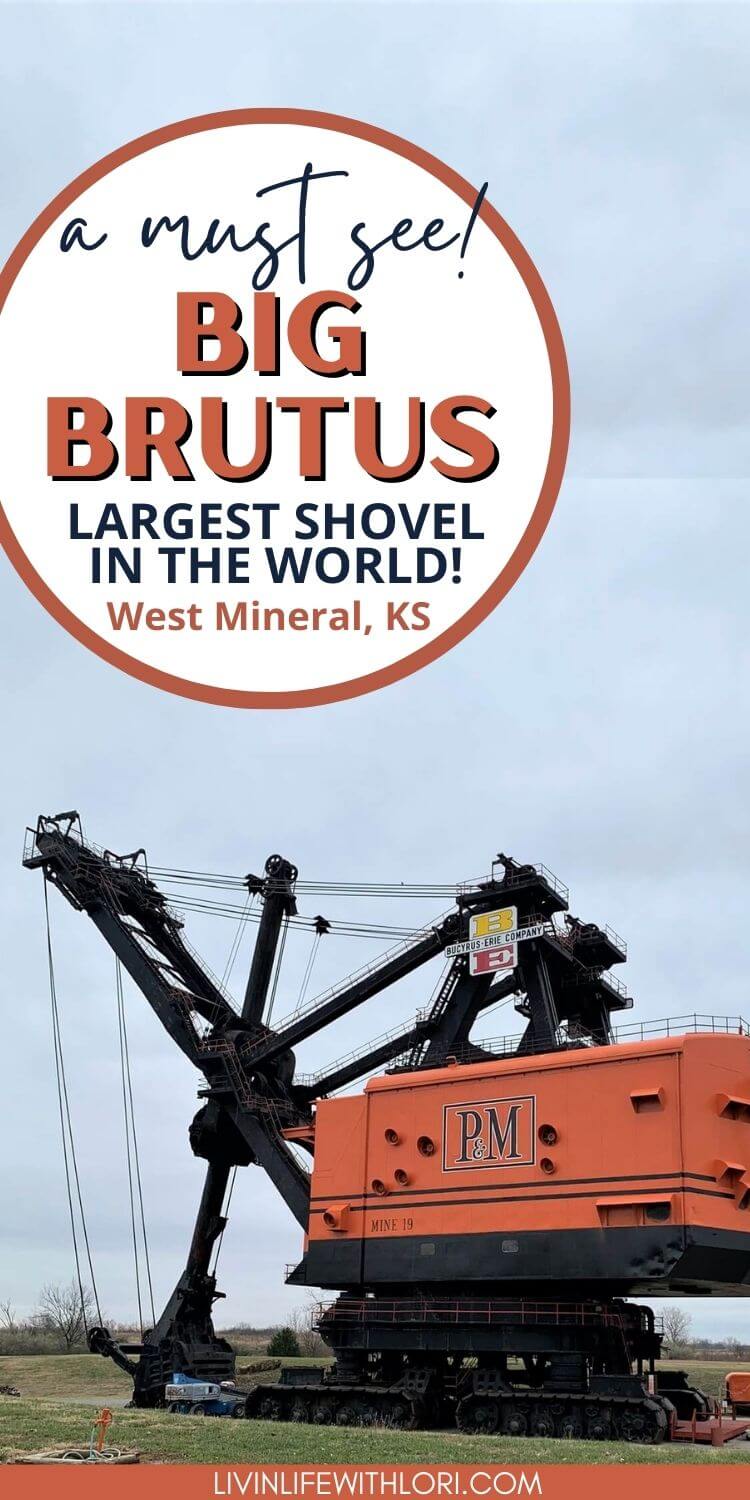 The Big Brutus Shovel Livin' Life With Lori
